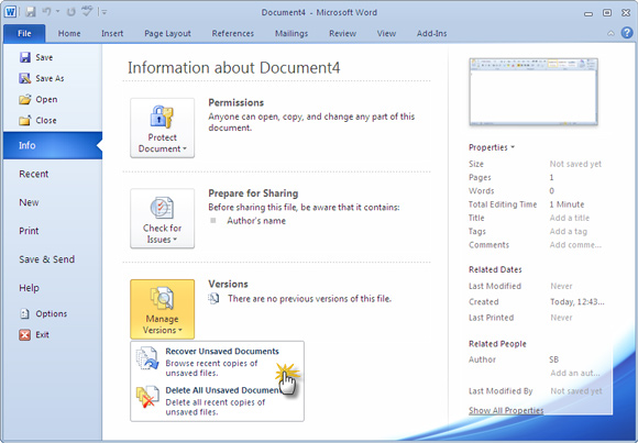 recover previous version of excel file 2007