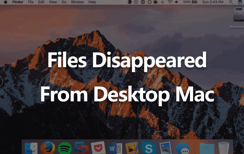 files disappeared from desktop mac
