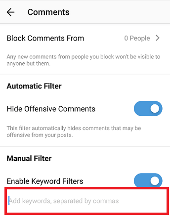 manual filter ins