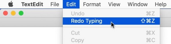 redo on mac from edit menu