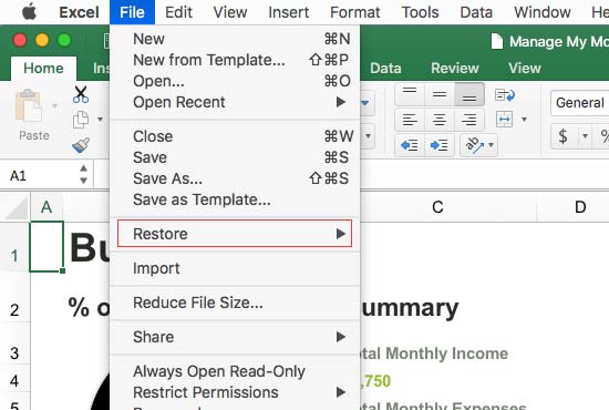 recover file not saved excel for mac