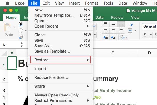 missing menu bar in excel for mac