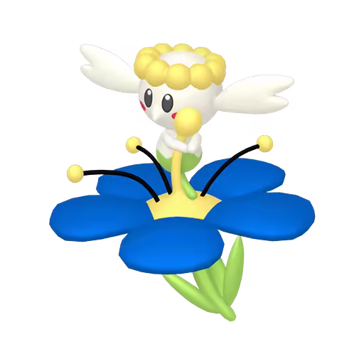 blue flabebe