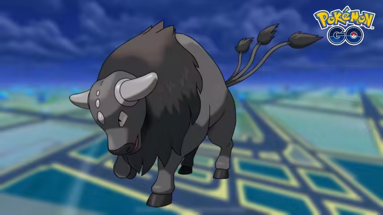 combat breed tauros pokemon go