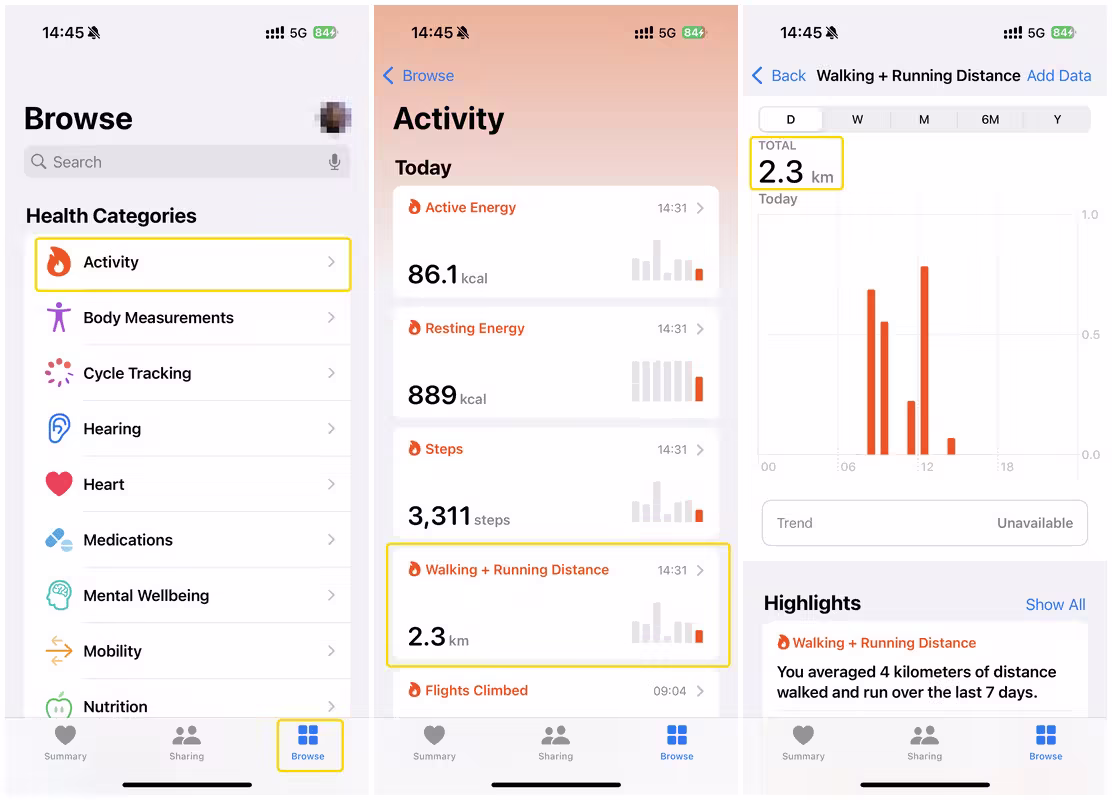 fake steps on apple health