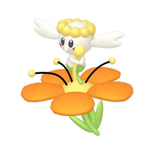 orange flabebe