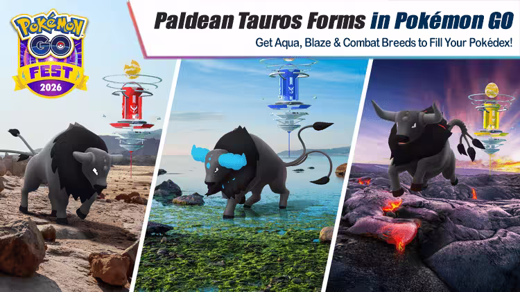 paldean tauros pokemon go