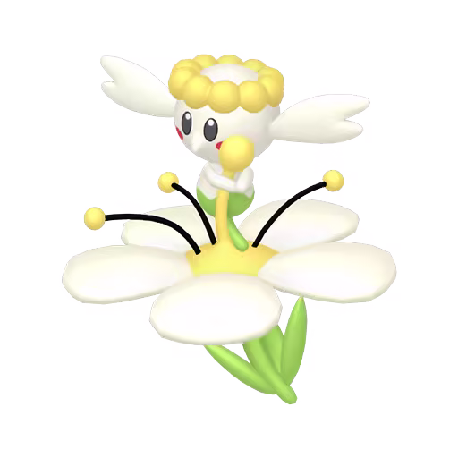 white flabebe