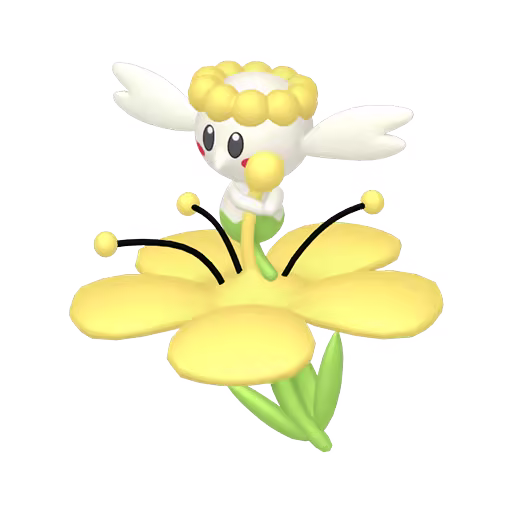 yellow flabebe
