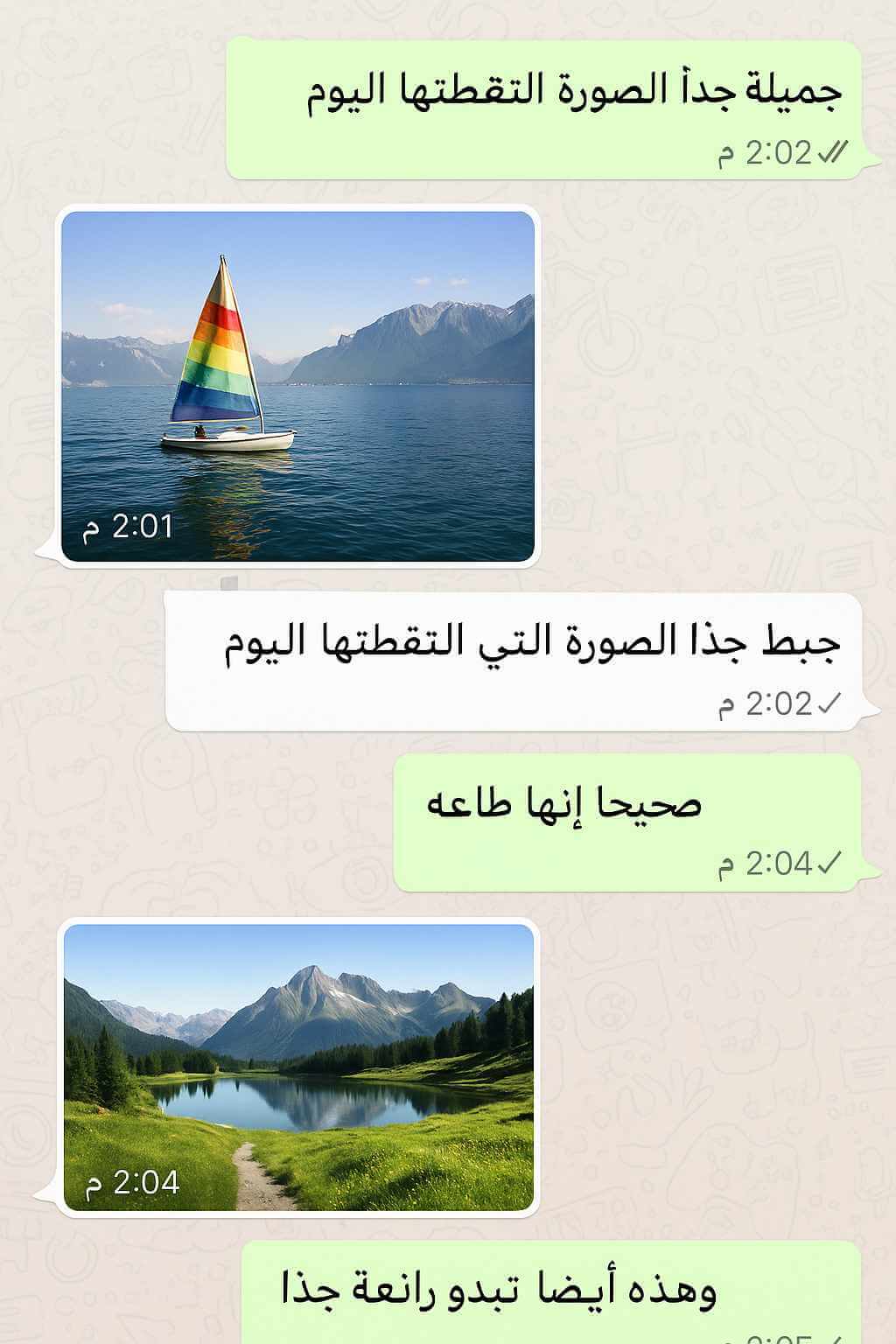 الصور في سجل الدردشة