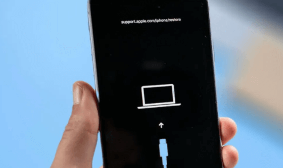 دعم سلامة بيانات متجر Apple