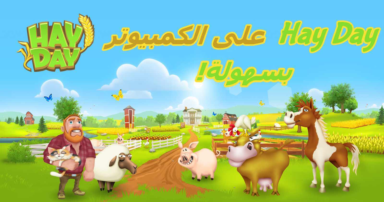 هاي داي