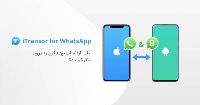 مراجعة iTransor for WhatsApp: أفضل أداة لنقل الواتساب