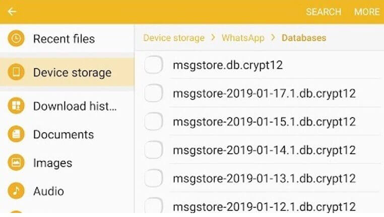 msgstore.db.crypt12