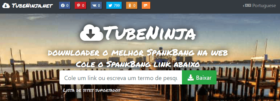 Como baixar vídeos de SpankBang com TubeNinja