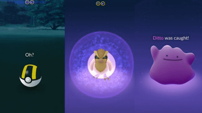 Como capturar um ditto no Pokémon GO