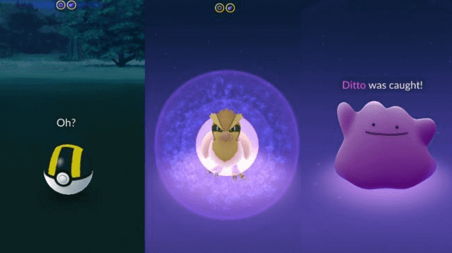 COMO ENCONTRAR DITTO en POKEMON GO? 🟣🔵✨#pokemongo 