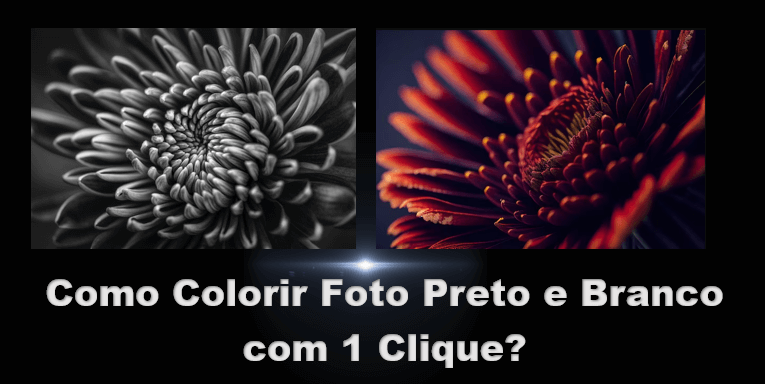 Métodos Práticos para Colorir Fotos em Preto e Branco Online