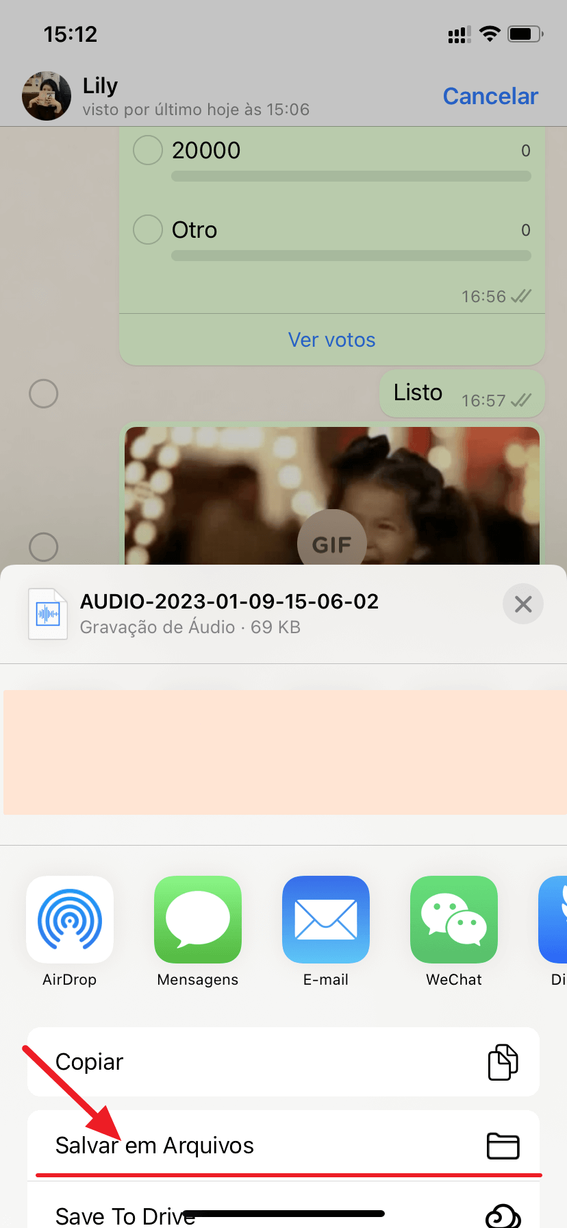 download áudio WhatsApp do iPhone