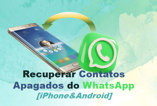 como recuperar contatos apagados do WhatsApp
