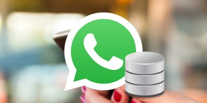 Onde Fica Armazenada as Conversas do WhatsApp? Veja Aqui a Resposta