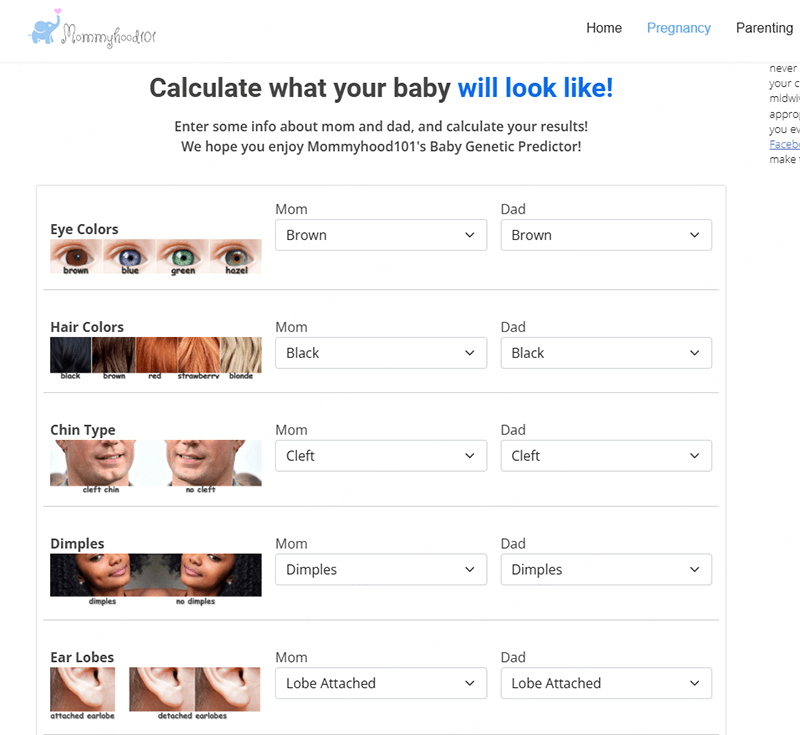 what will my baby look like Mommyhood Genetics Calculator