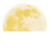 icon2