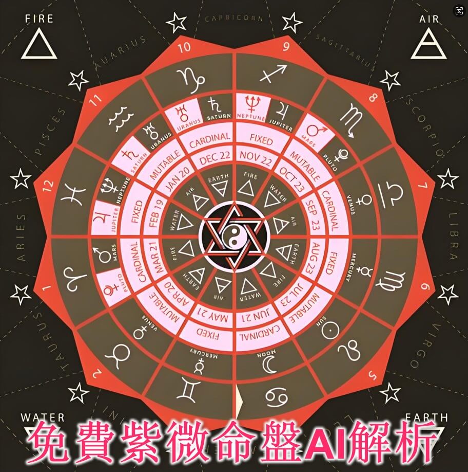 紫微斗數命盤分析