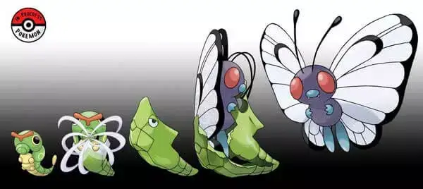 Evoluční forma Caterpieho