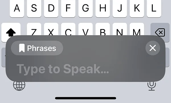 iPhone　 Použití osobního hlasu