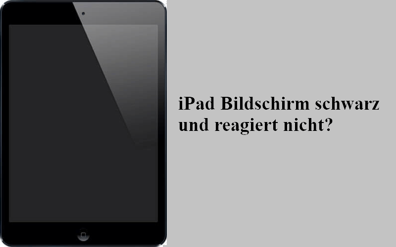 iPad Bildschirm schwarz und reagiert nicht? 3 Tipps helfen!
