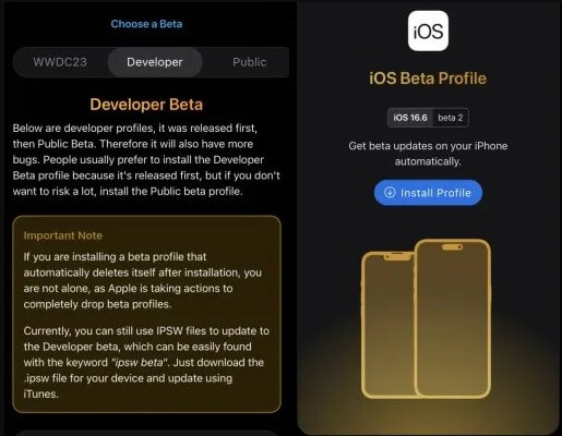Installieren des iOS 16.6 Beta-Profils