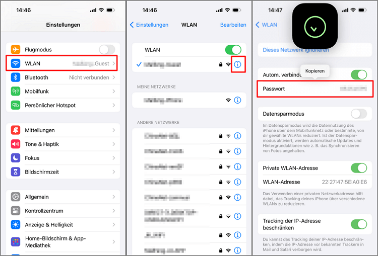 WLAN-Passwort auf dem iPhone iOS 16/17 anzeigen