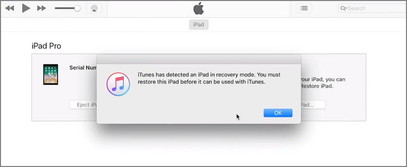 iPad entsperren mit iTunes