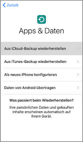 iPad aus iCloud-Backup wiederherstellen