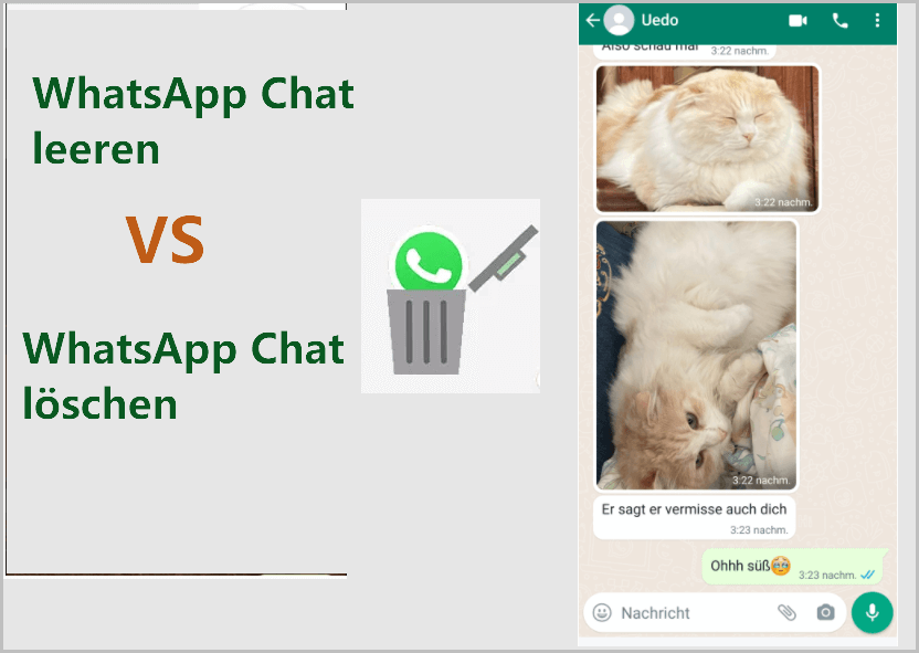 Was sind der Unterschied zwischen dem Leeren oder Löschen von WhatsApp Chat?
