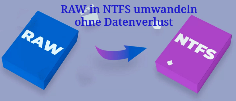 RAW-Dateisystem in NTFS ohne Datenverlust mit wenigen Minuten umwandeln