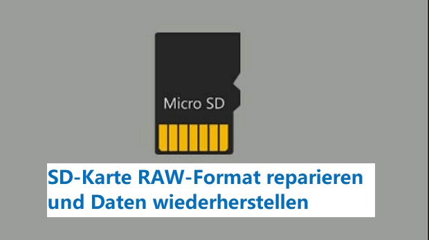 RAW-SD-Karten in wenigen Minuten reparieren und Daten retten