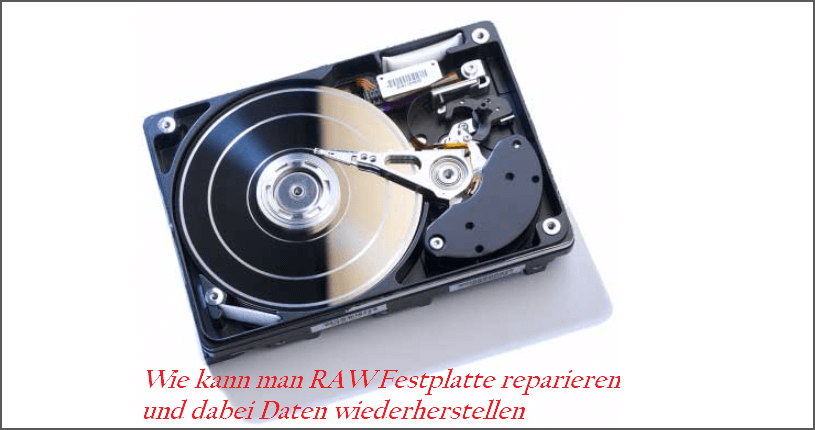 RAW Festplatte reparieren