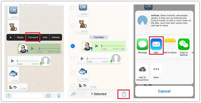 Forward and Save WhatsApp Audios Using Email
