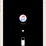 iPhone zeigt iTunes Symbol mit Stecker? Hier sind 5 Lösungen