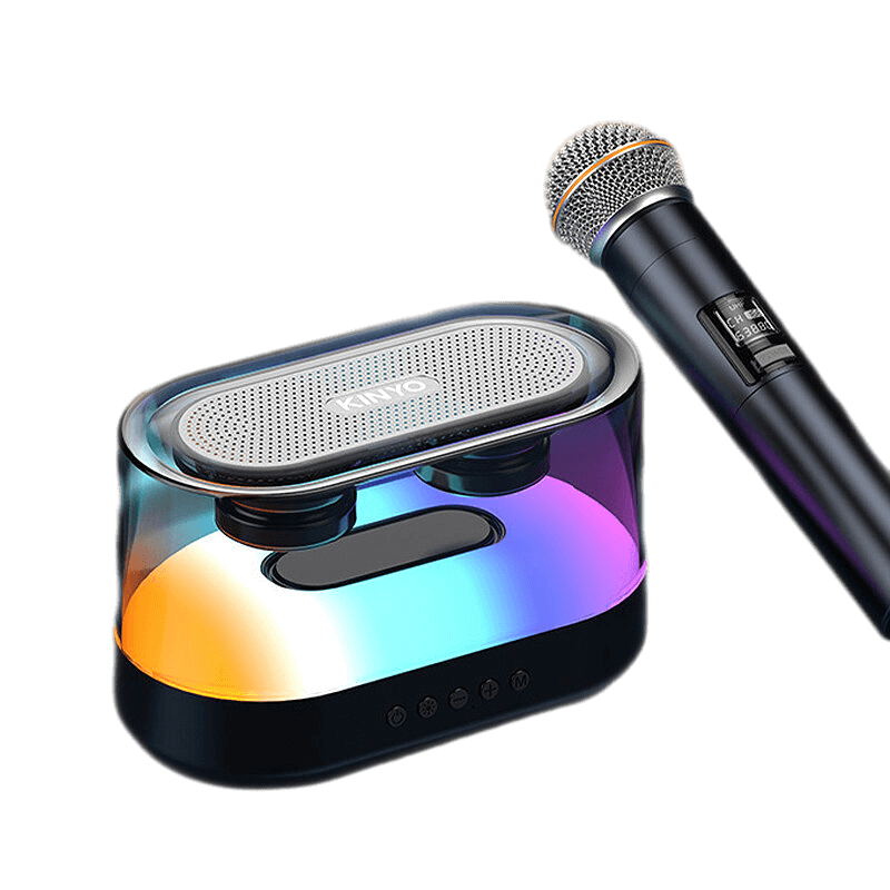 Mini Wireless Microphone
