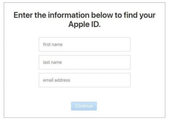 enter the information to find apple id