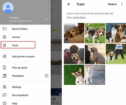 Restore Google Photos from trash