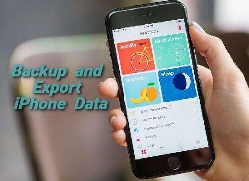 itransor lite can backup and export data for iphone