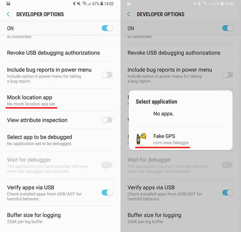 access developer mode