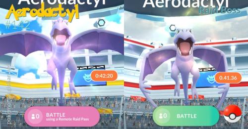 aerodactyl raids