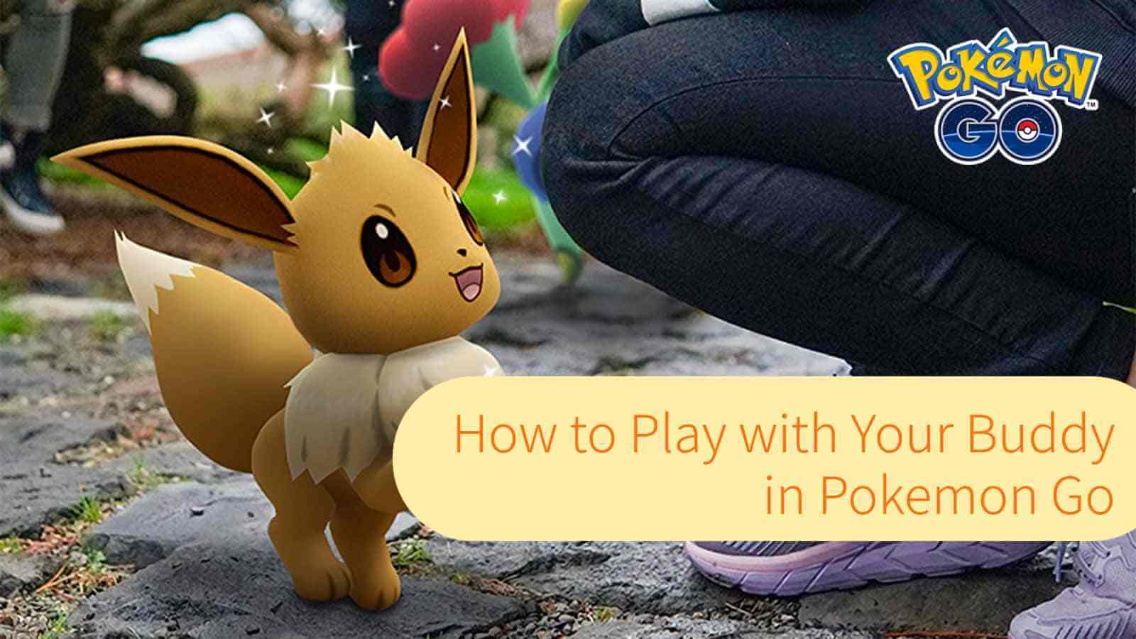 How to play with your Buddy in Pokémon Go