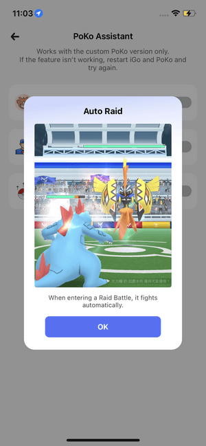 igo poko assistant auto raid