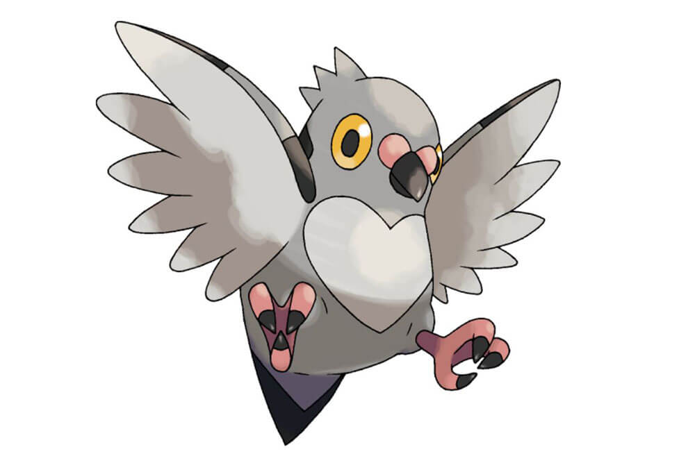 Pidove In Pokemon Go Guide